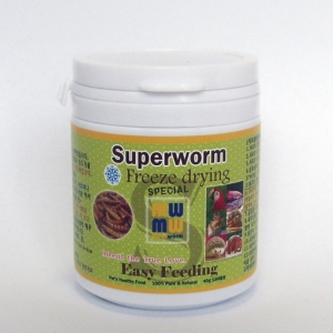 동결건조 슈퍼웜 150마리 170ml Superworm 로얄웜 Royalworm