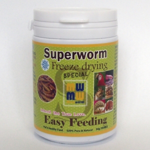 동결건조 슈퍼웜 200마리 220ml Superworm 로얄웜 Royalworm