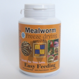 동결건조 밀웜 2000마리 200ml mealworm