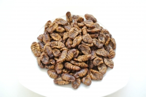 식용 번데기 중국산 원형 및 분말 선택, Silkworm, Silk moth pupa