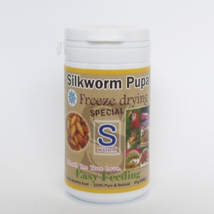 동결건조 실크웜 번데기 85마리 100ml Silkworm pupa