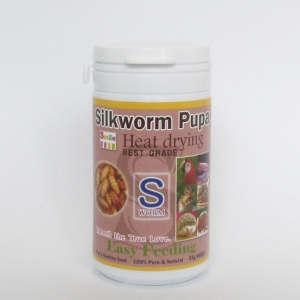 열풍건조 실크웜 번데기 85마리 100ml Silkworm pupa